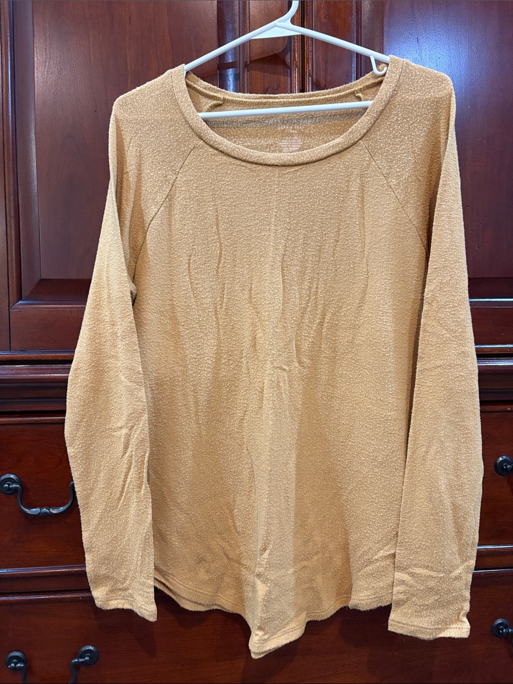 American Eagle Outfitters Long Sleeve Crewneck Top in Camel